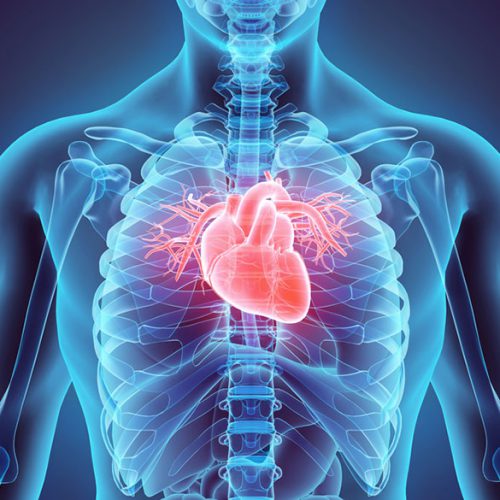 cardiaque et vasculaire